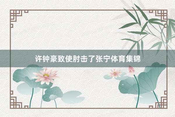 许钟豪致使肘击了张宁体育集锦