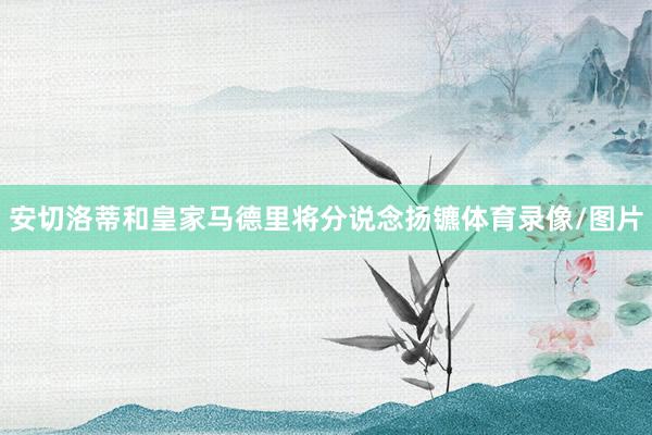 安切洛蒂和皇家马德里将分说念扬镳体育录像/图片