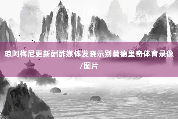 琼阿梅尼更新酬酢媒体发晓示别莫德里奇体育录像/图片