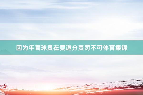 因为年青球员在要道分责罚不可体育集锦