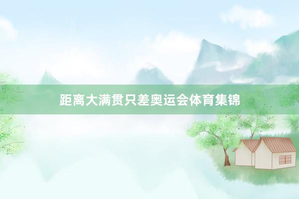 距离大满贯只差奥运会体育集锦