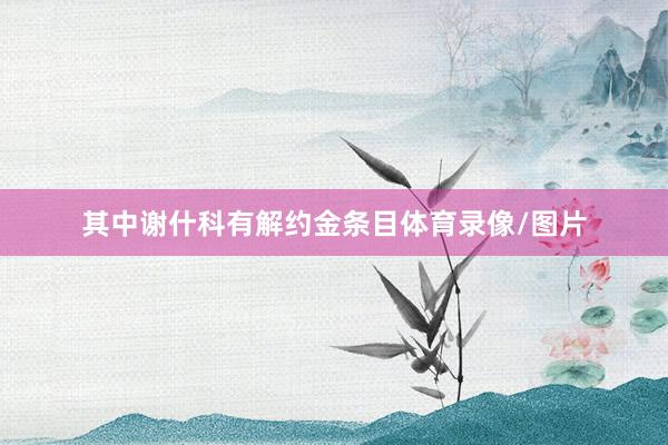 其中谢什科有解约金条目体育录像/图片
