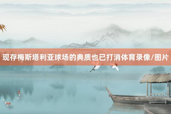 现存梅斯塔利亚球场的典质也已打消体育录像/图片