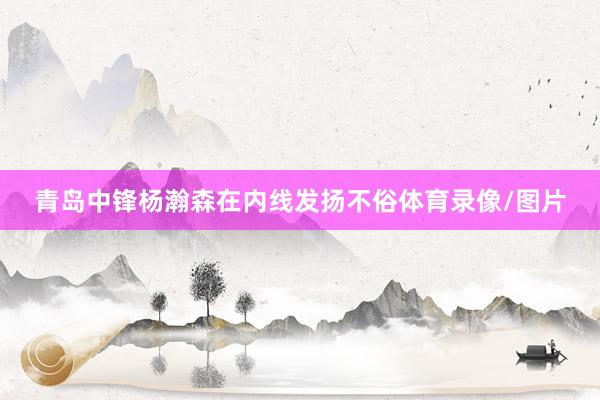 青岛中锋杨瀚森在内线发扬不俗体育录像/图片