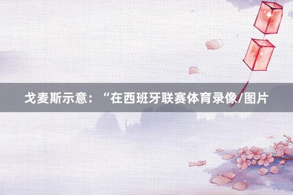 戈麦斯示意：“在西班牙联赛体育录像/图片