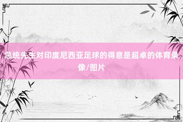 总统先生对印度尼西亚足球的得意是超卓的体育录像/图片