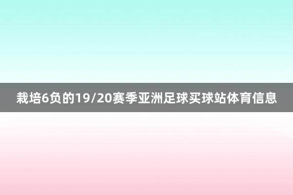 栽培6负的19/20赛季亚洲足球买球站体育信息