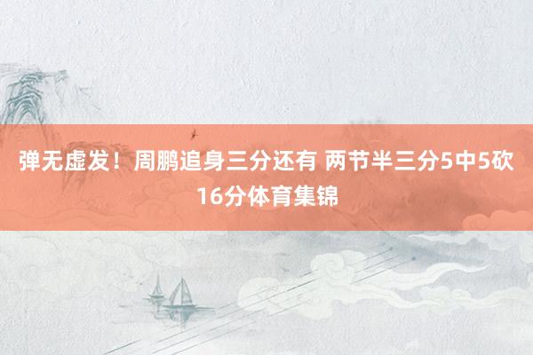 弹无虚发！周鹏追身三分还有 两节半三分5中5砍16分体育集锦