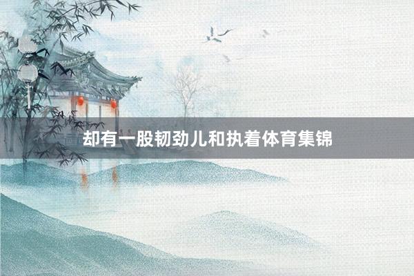 却有一股韧劲儿和执着体育集锦