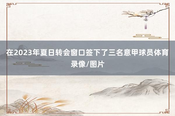 在2023年夏日转会窗口签下了三名意甲球员体育录像/图片