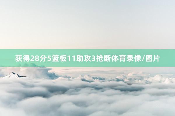 获得28分5篮板11助攻3抢断体育录像/图片