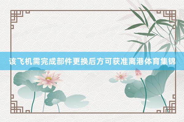 该飞机需完成部件更换后方可获准离港体育集锦