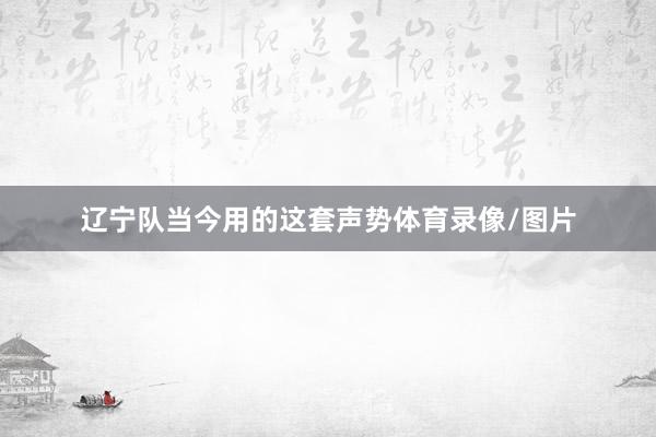 辽宁队当今用的这套声势体育录像/图片