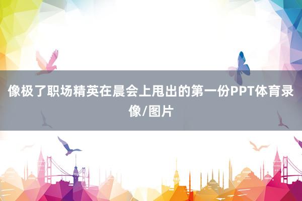 像极了职场精英在晨会上甩出的第一份PPT体育录像/图片