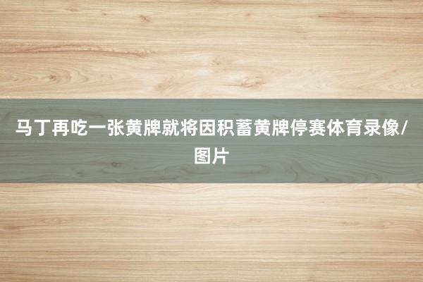 马丁再吃一张黄牌就将因积蓄黄牌停赛体育录像/图片